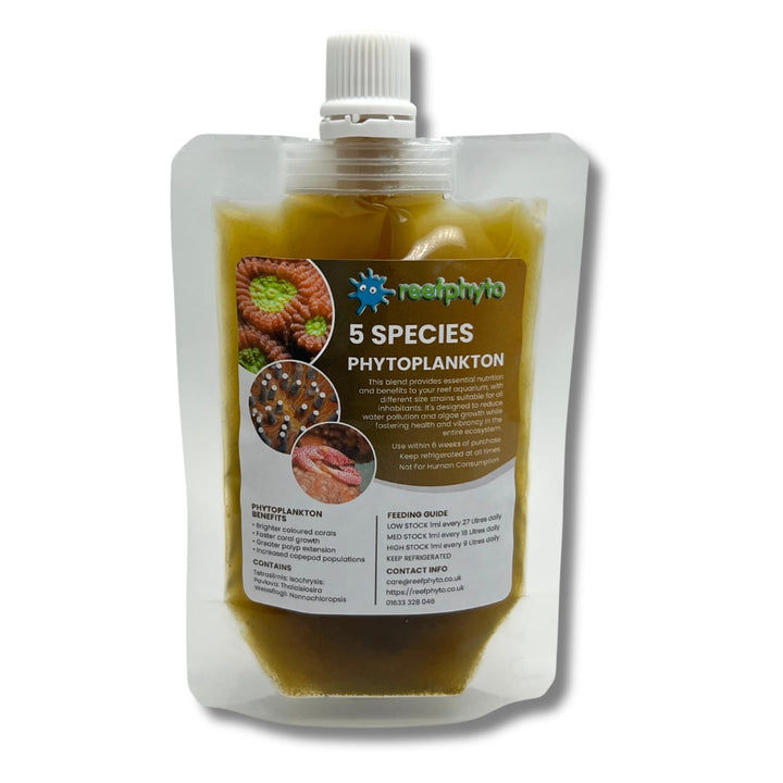 5 Species Phytoplankton
