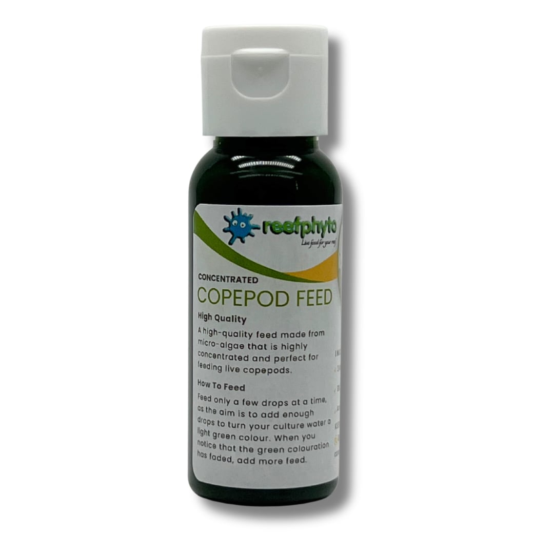 Copepod Feed