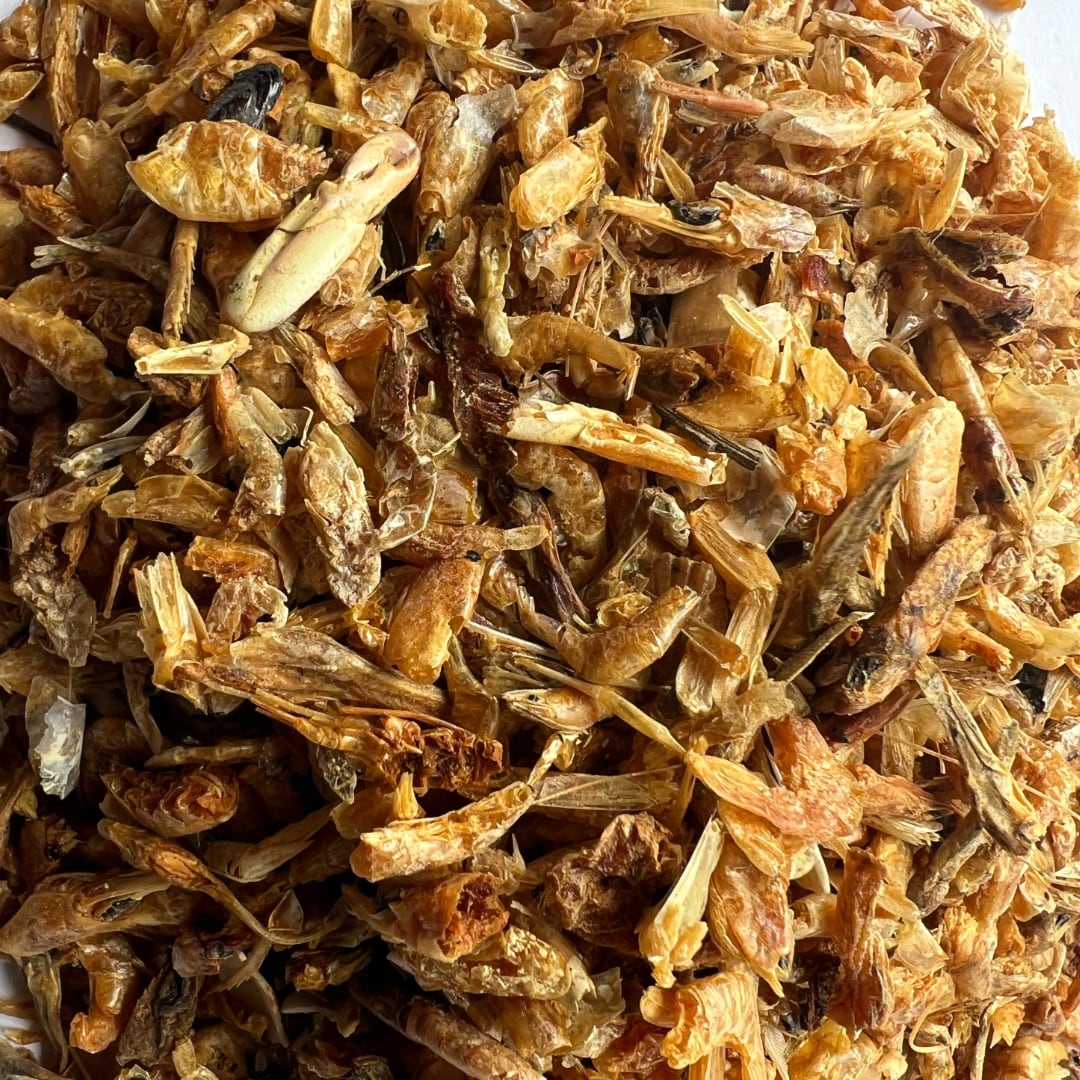 Dried Shrimp