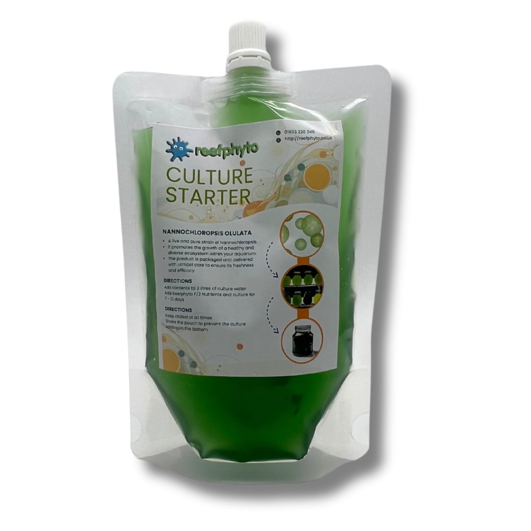 Phytoplankton Liquid Starter Culture - Nannochloropsis Oculata