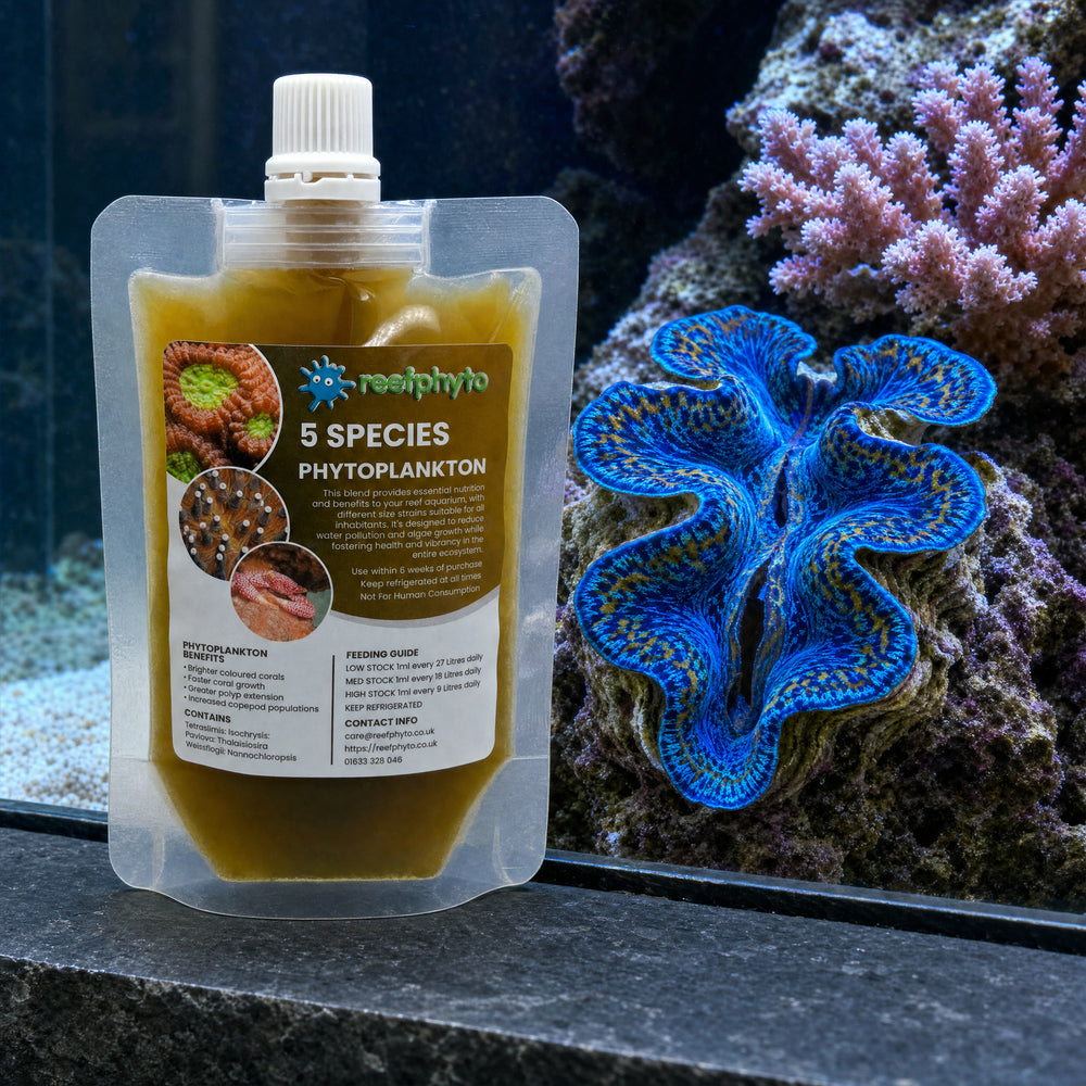 Reefphyto 5 Species Phytoplankton pouch beside a blue Tridacna giant clam