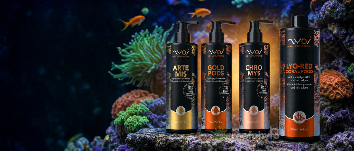 Nyos Artemis, Goldpods, Chromys and LYQ-Red Coral Food bottles on reef rock in front of corals and anthias