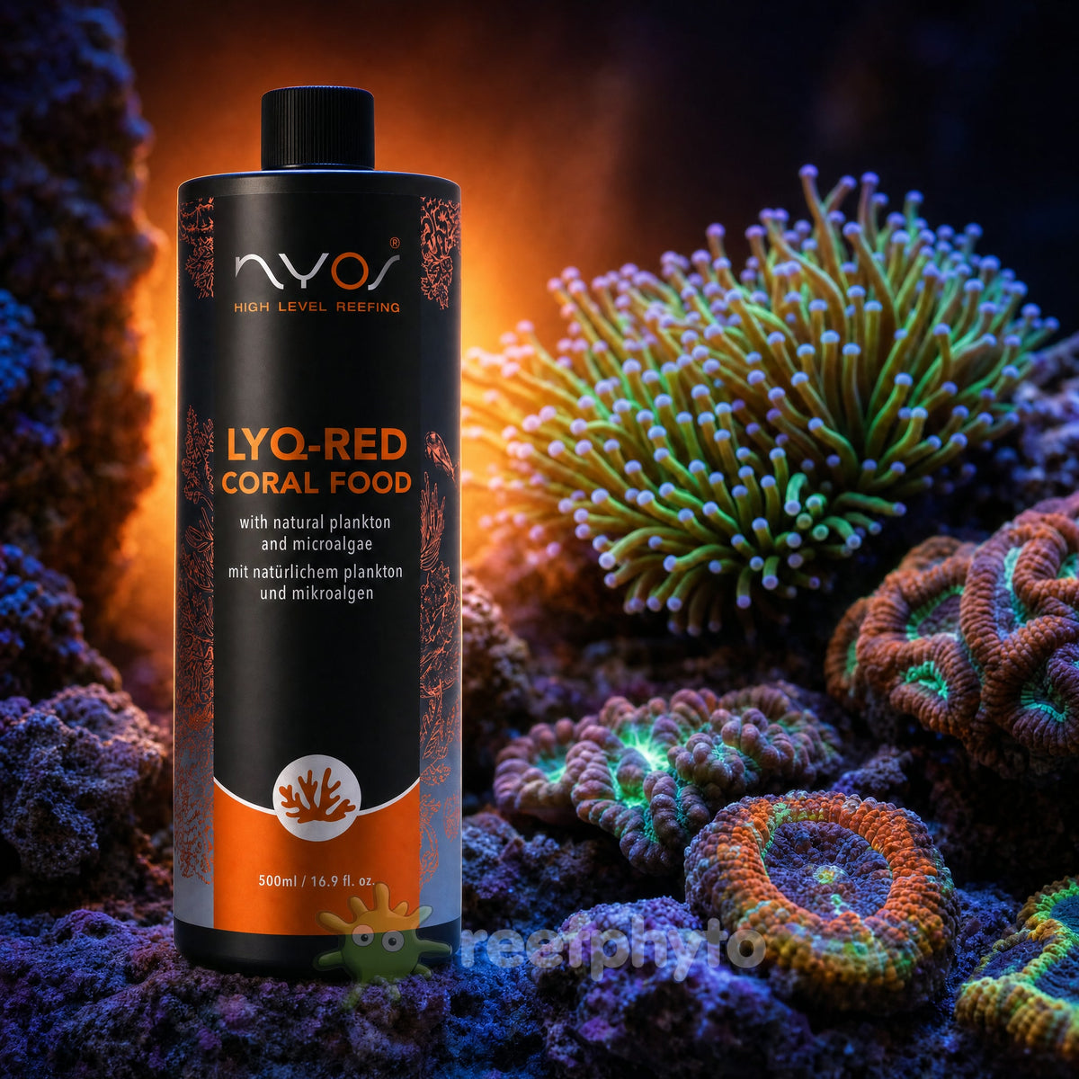 Nyos LYQ-Red liquid coral food 500ml on reef rock beside feeding torch and brain corals