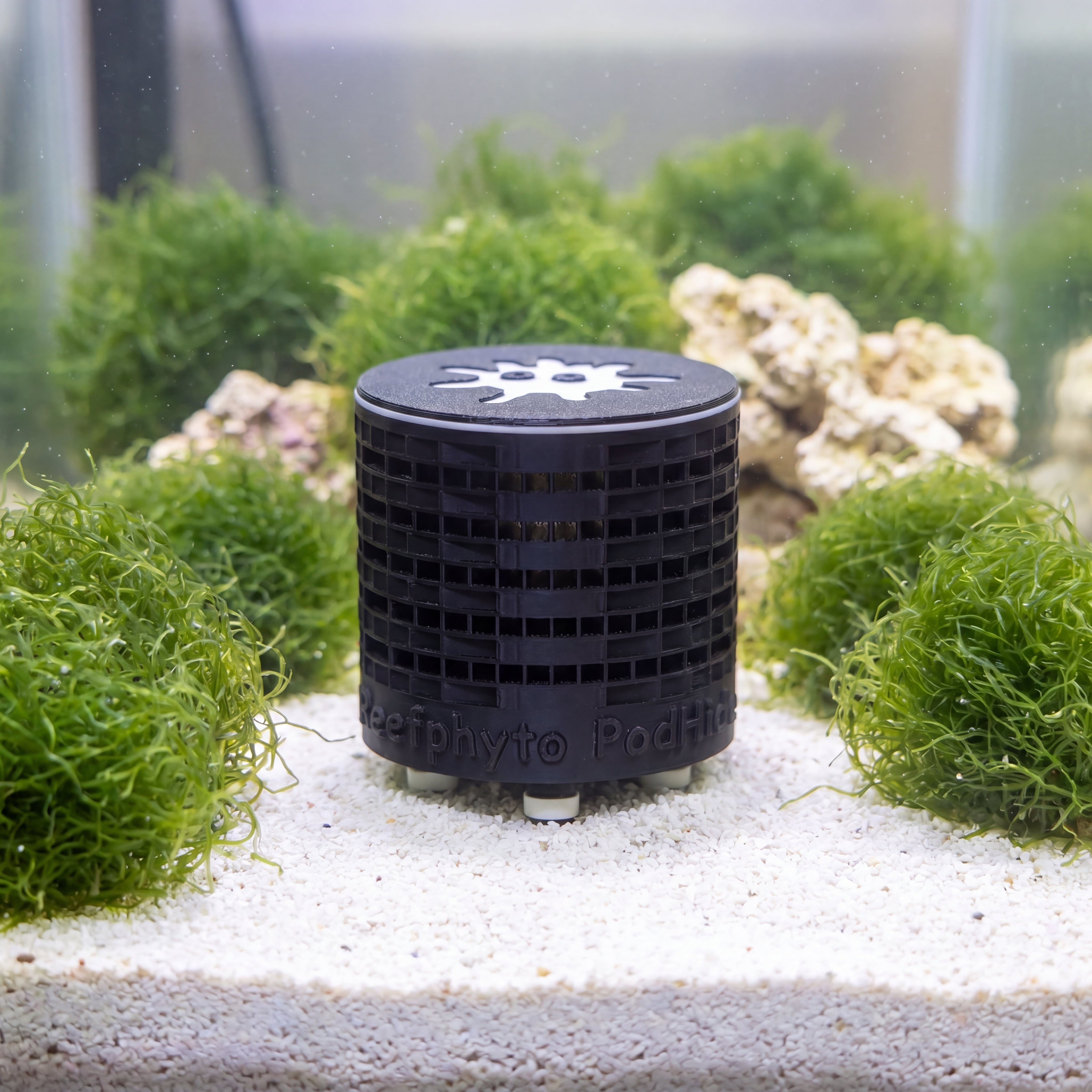 Reefphyto PodHide copepod refuge sitting in a refugium chamber surrounded by chaeto macroalgae, giving copepods a safe space to shelter and breed.