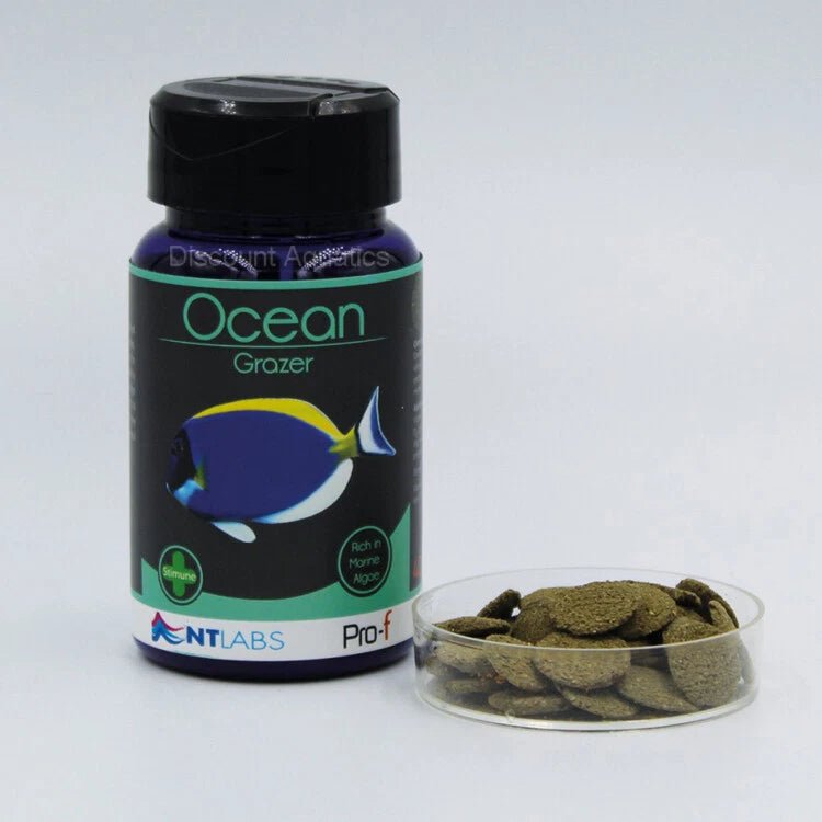 NTLABS Pro - F Ocean Grazer - Reefphyto Ltd