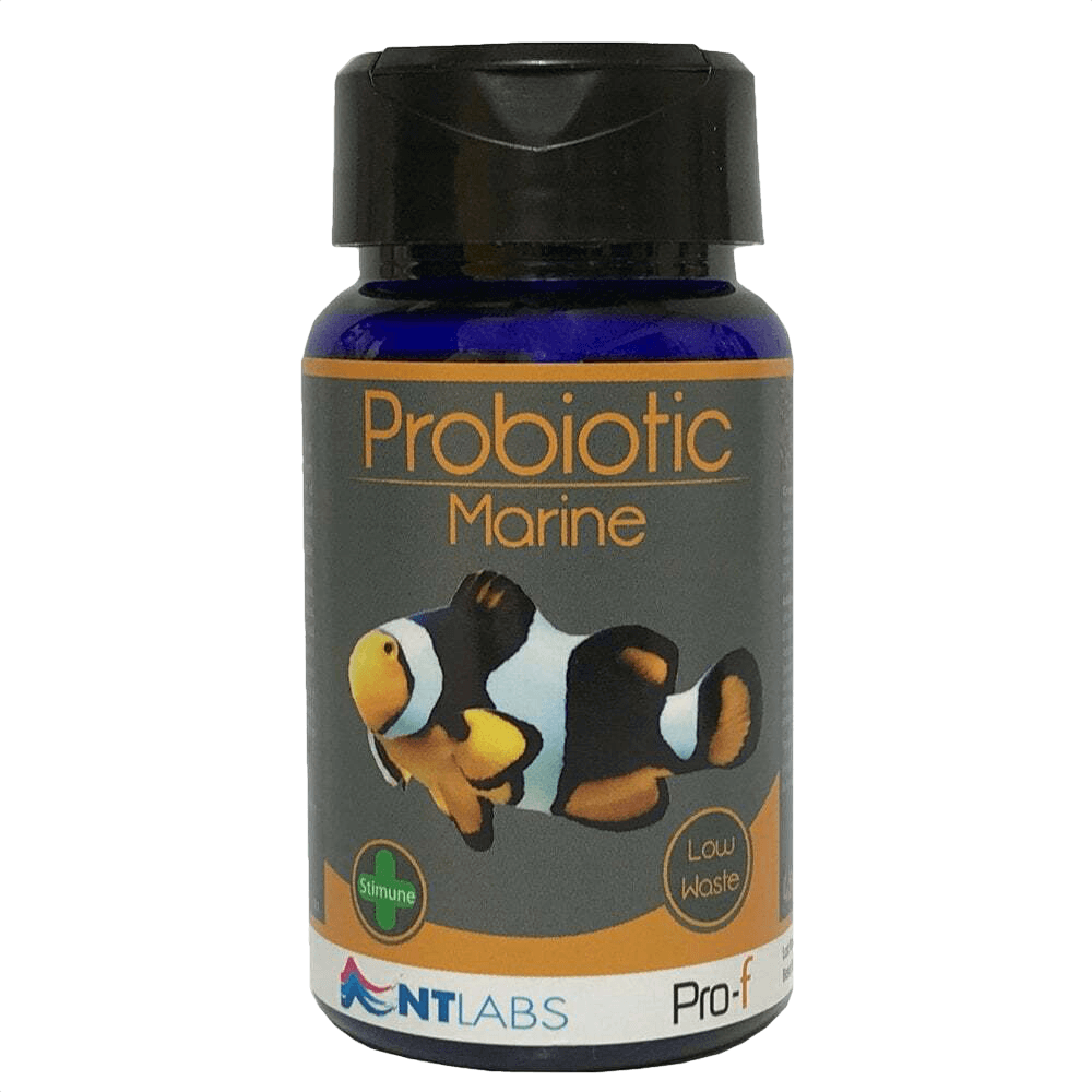 Pro-F Probiotic Marine - Reefphyto Ltd