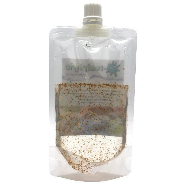 Live Copepods - Reefphyto Ltd