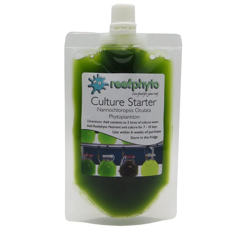 Phytoplankton Culture Kit - Nannochloropsis - Reefphyto Ltd