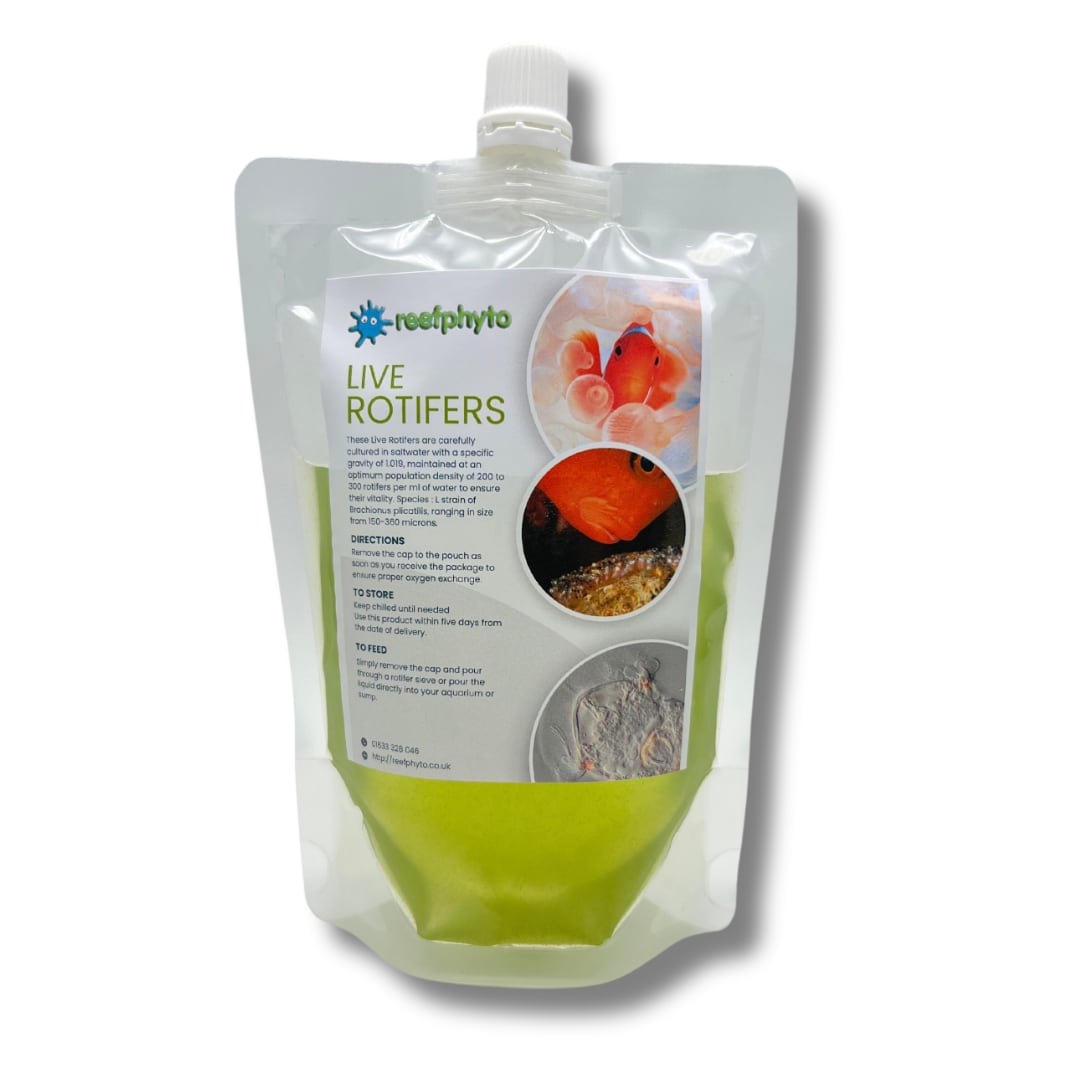 Live Rotifers for Sale - Nutritious Aquarium Zooplankton