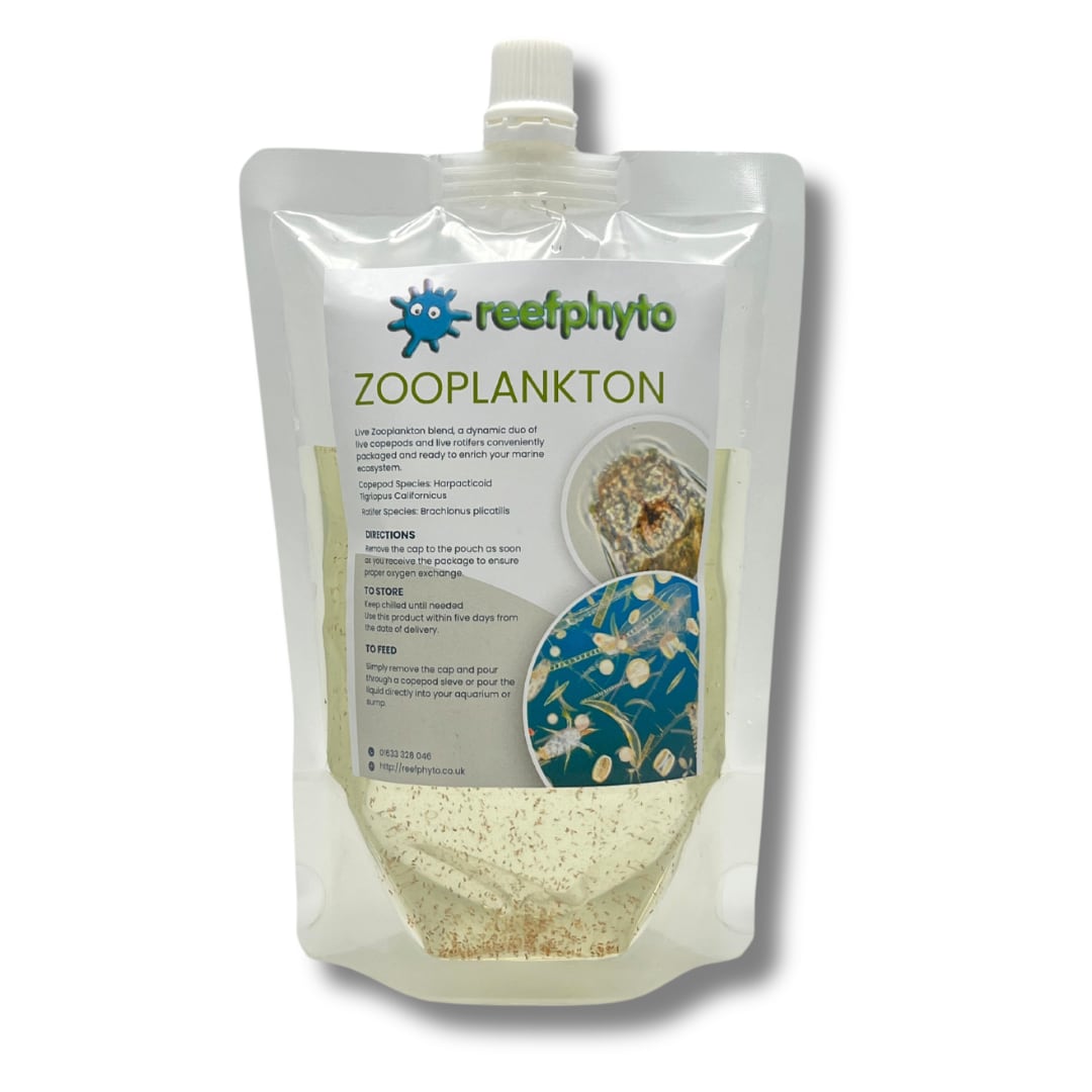 Live Zooplankton