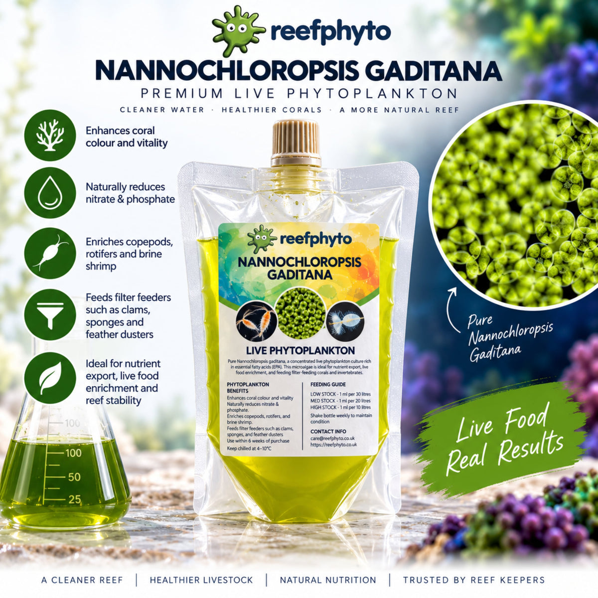 Nannochloropsis Gaditana Live