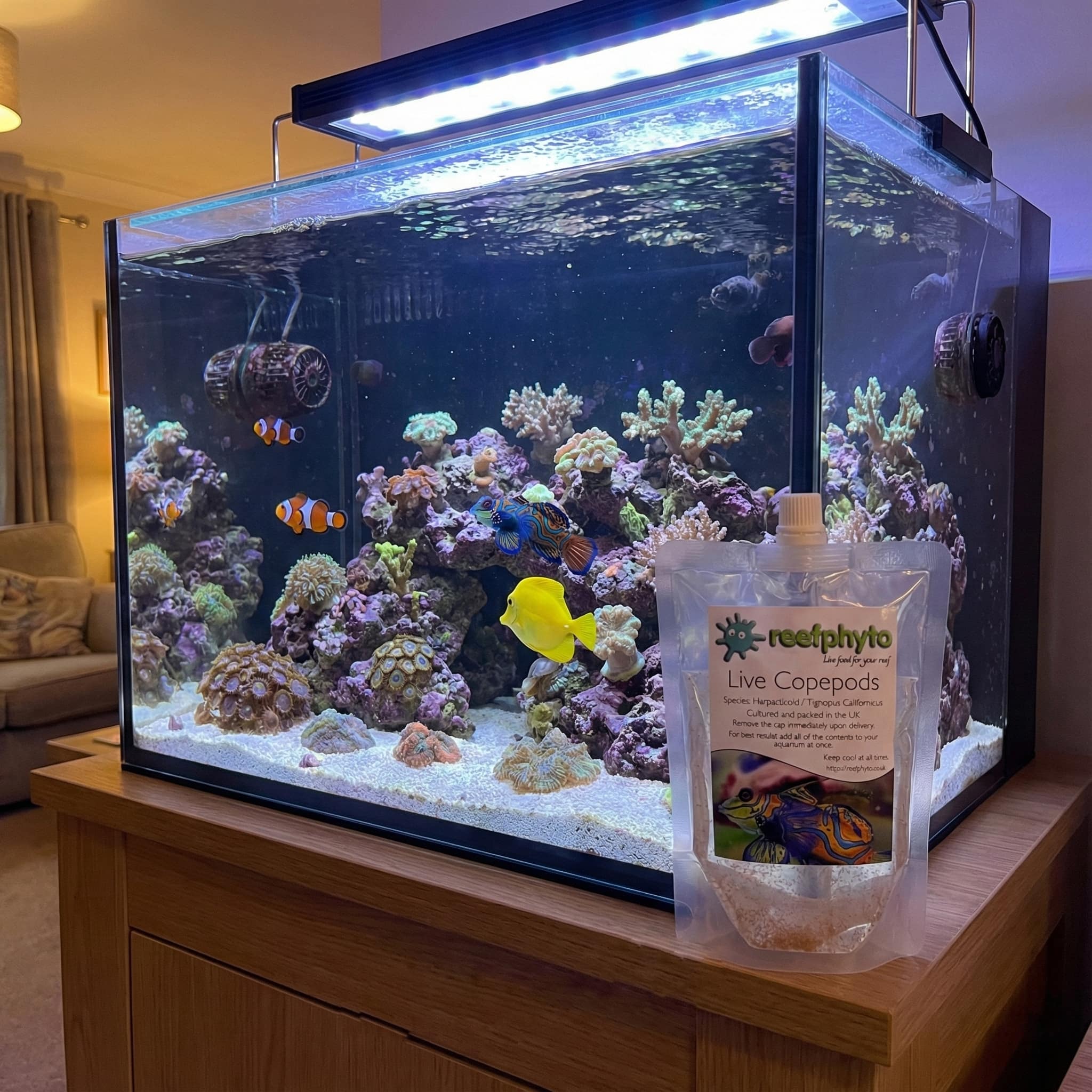 Live Copepods - Reefphyto Ltd