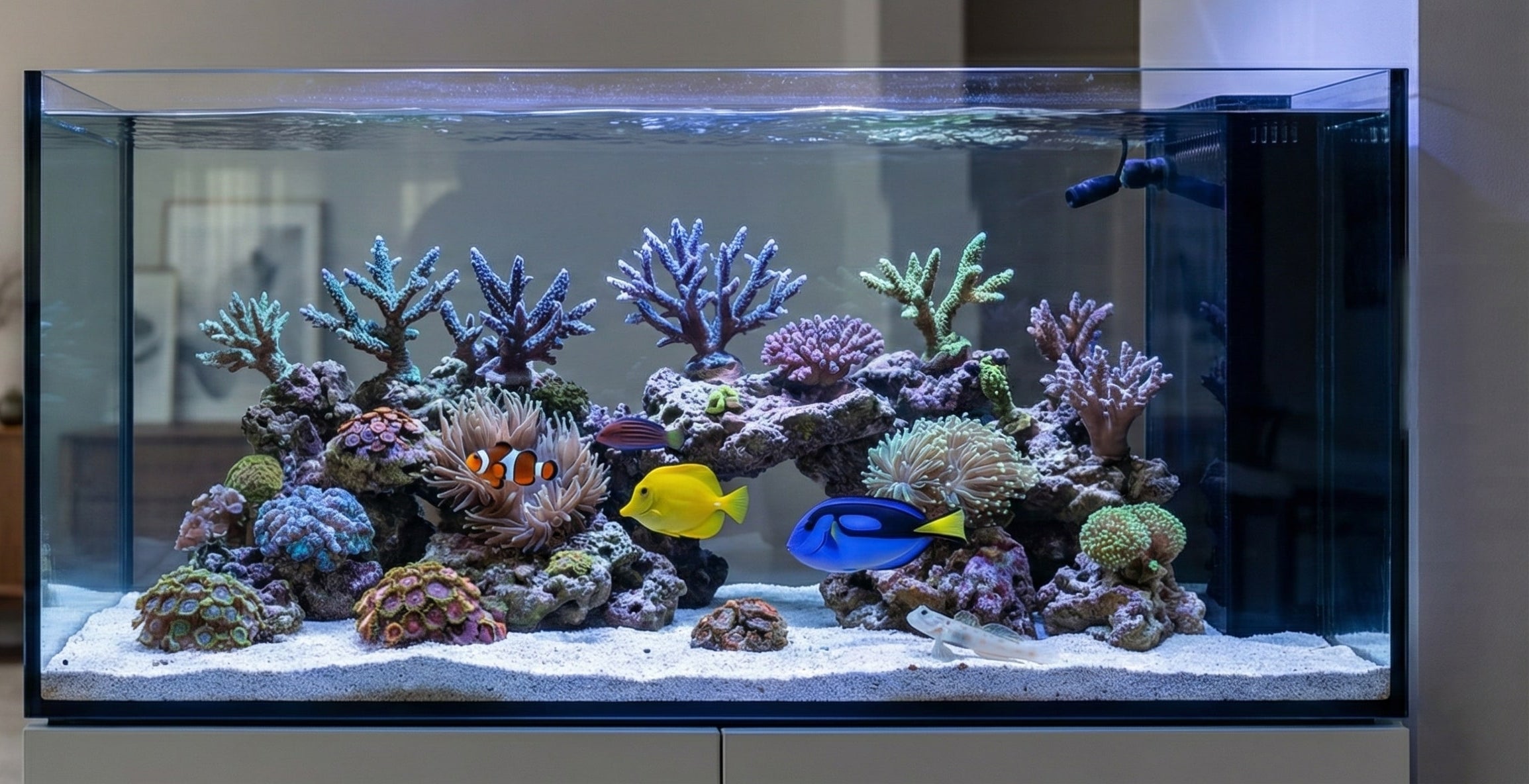 Reefphyto – Live Copepods, Phytoplankton & Live Marine Foods UK