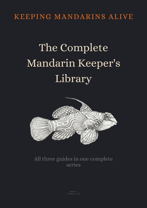 Complete Mandarin Keeper's Library - All Three Guides Bundle