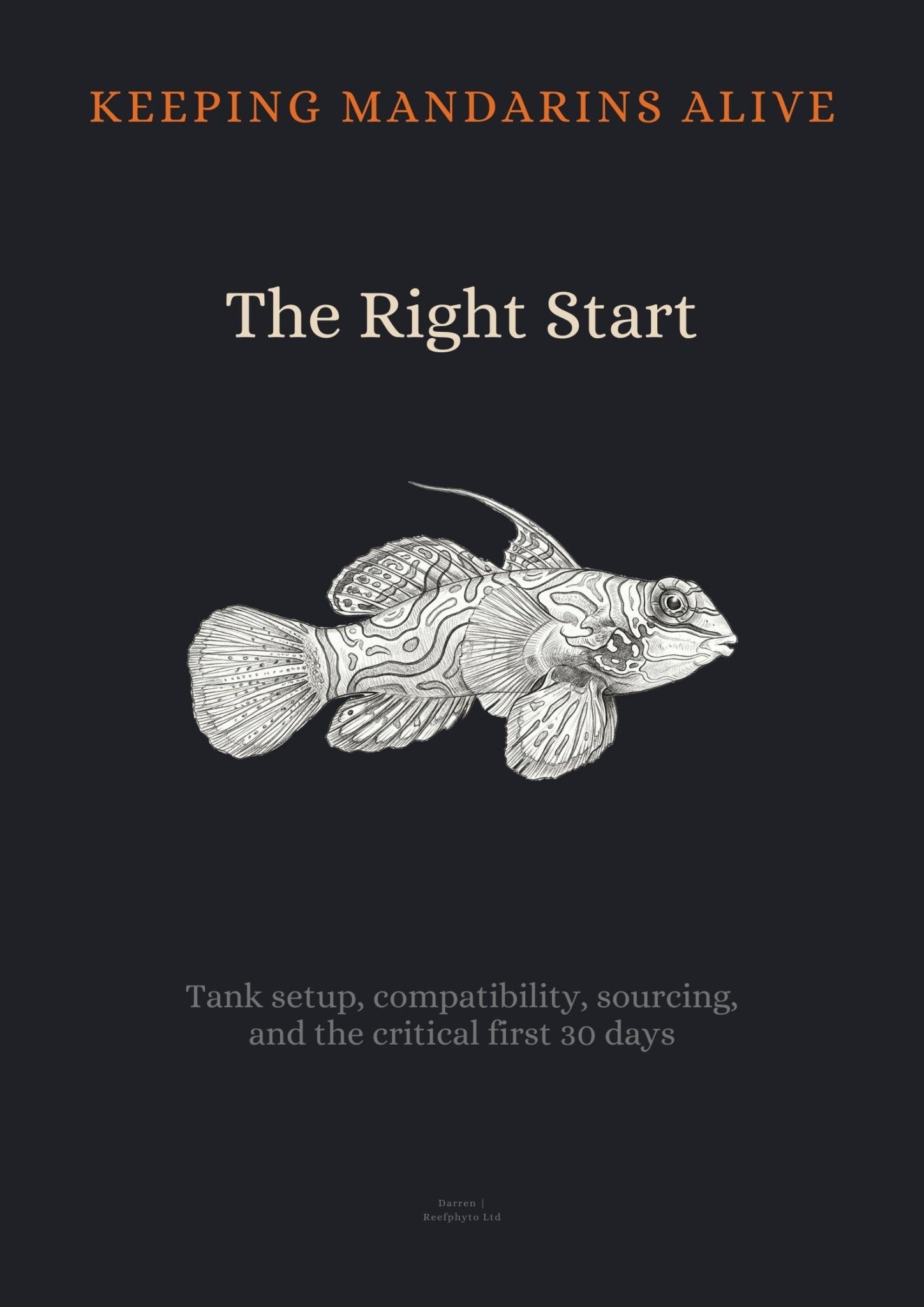 Keeping Mandarins Alive: The Right Start - Mandarin Goby Setup Guide - Reefphyto Ltd