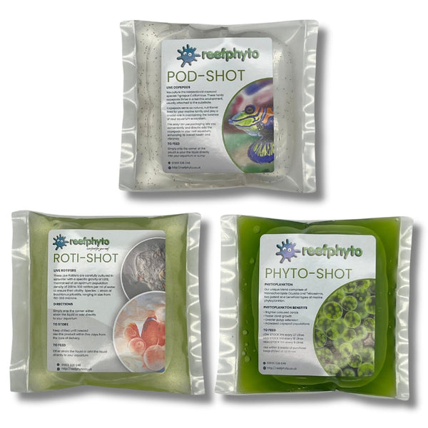 Zooplankton Live Food Mix - copepods rotifers and phytoplankton bundle by Reefphyto