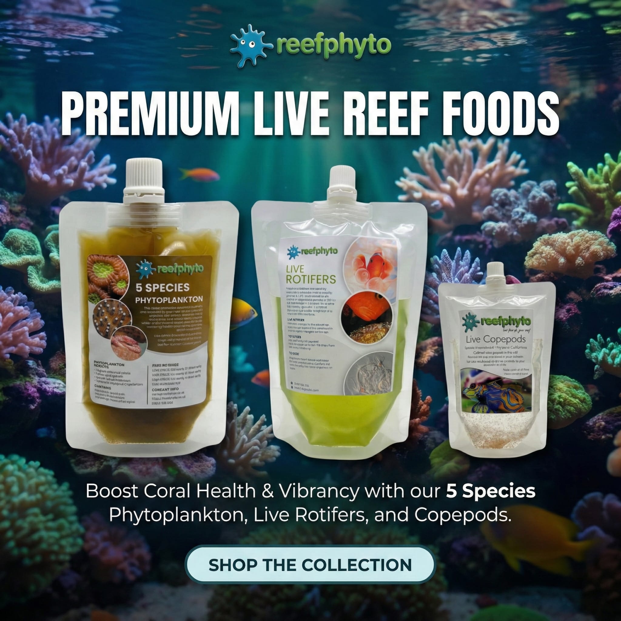 Zooplankton Multipack - Reefphyto Ltd