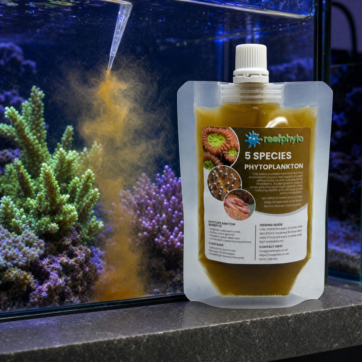 Dosing Reefphyto 5 Species Phytoplankton by pipette into a reef tank above SPS corals