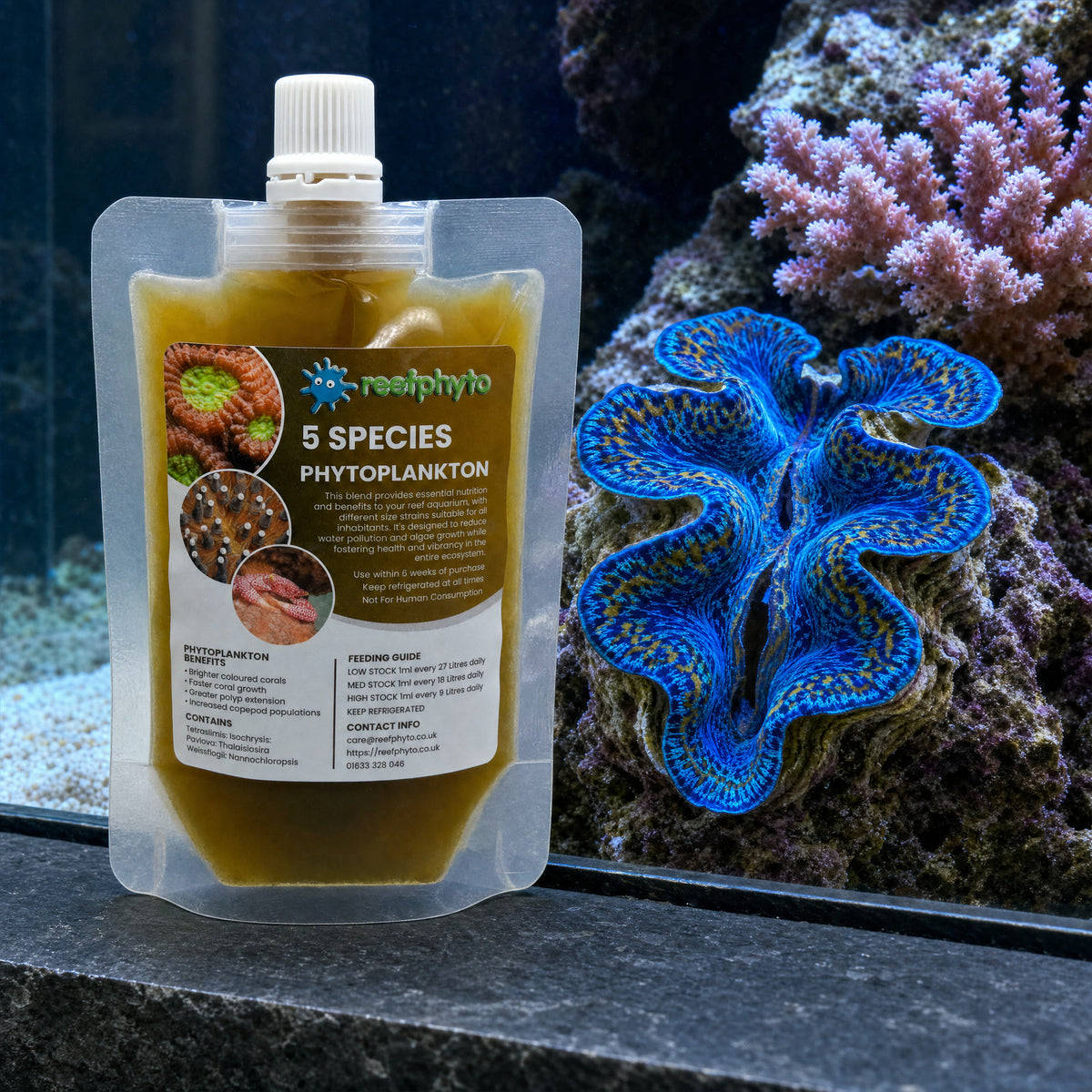 Reefphyto 5 Species Phytoplankton pouch beside a blue Tridacna giant clam