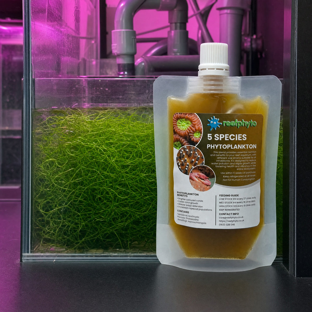 Reefphyto 5 Species Phytoplankton pouch beside a chaetomorpha refugium under a grow light