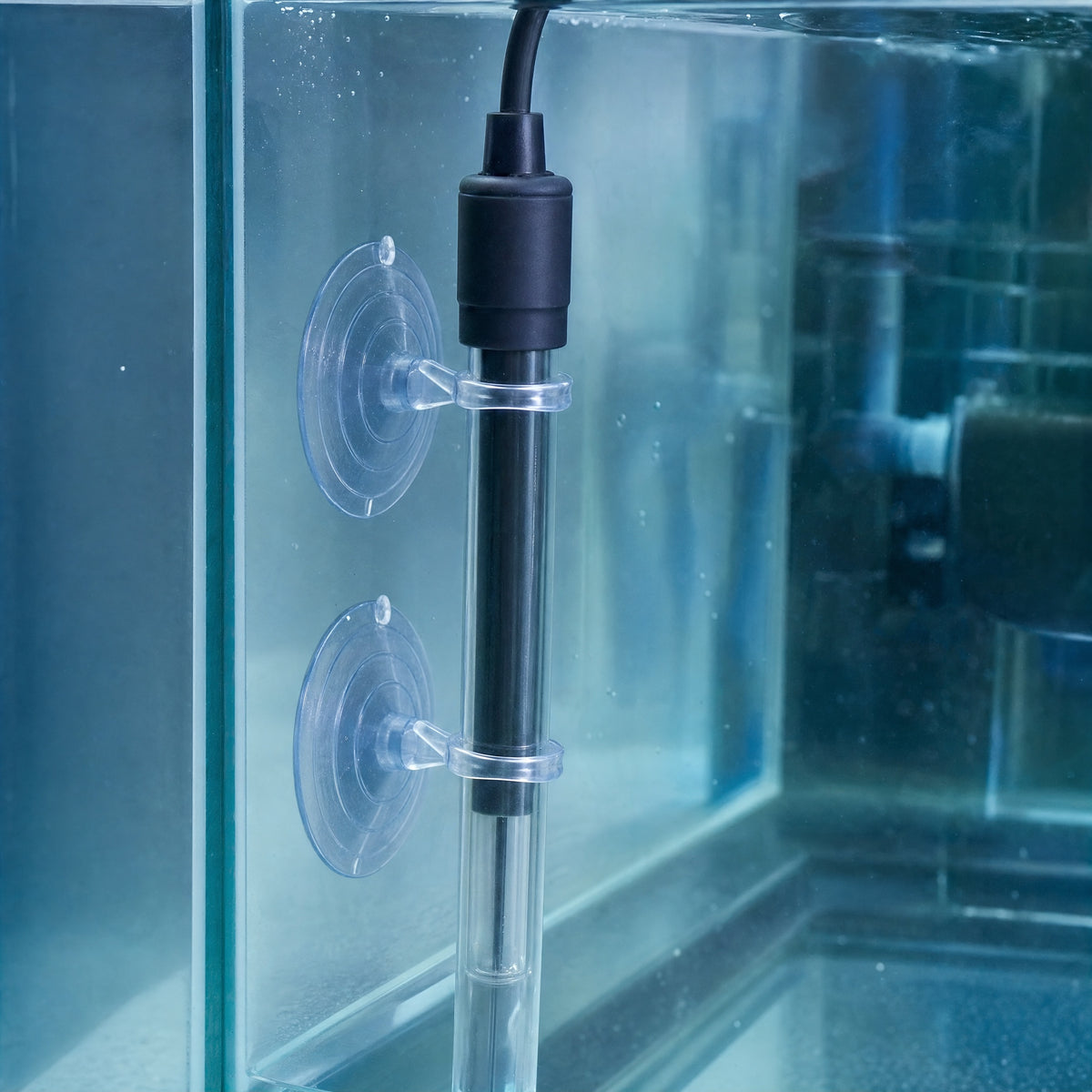 Two Reefphyto ring holder suction cups holding an aquarium heater upright against the tank glass