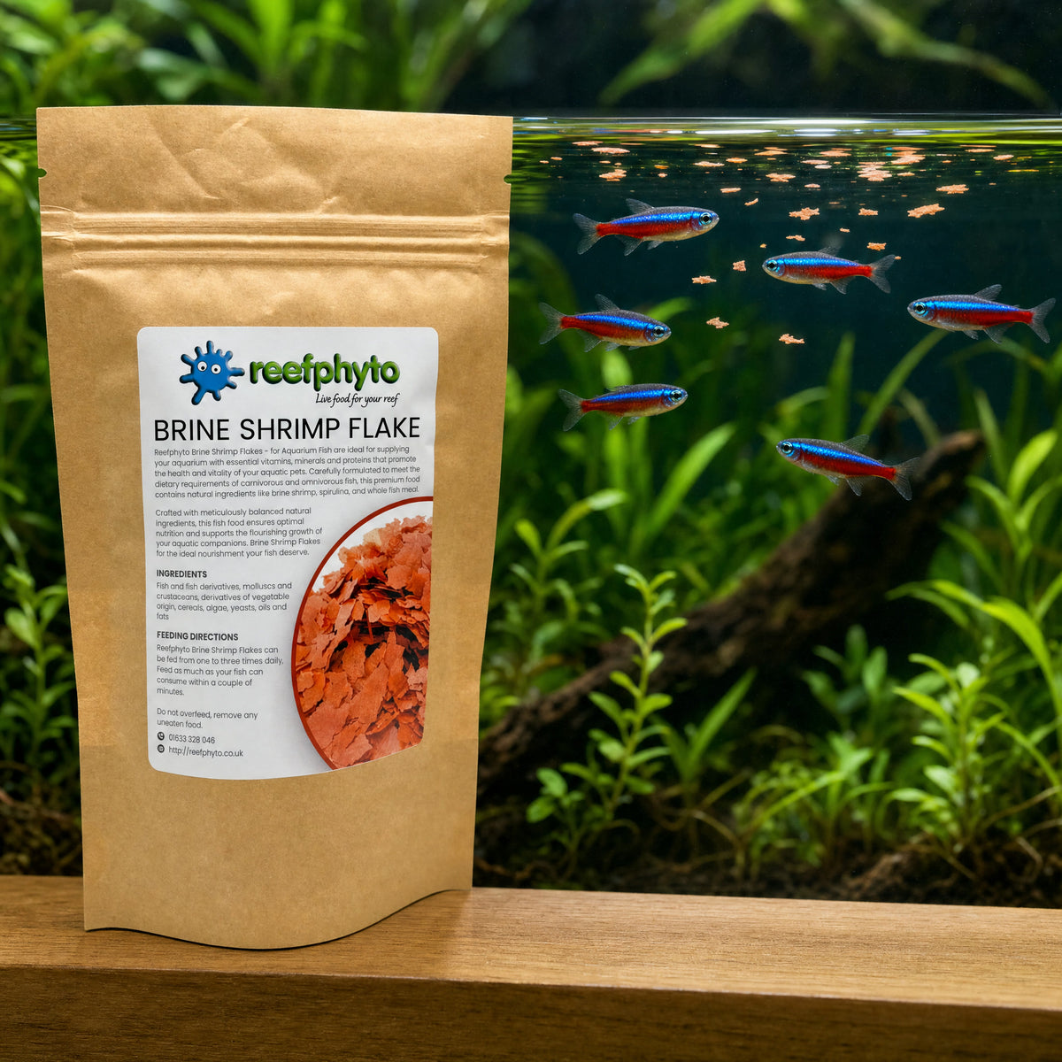Tetras feeding on Reefphyto Brine Shrimp Flake at the surface of a planted tropical aquarium