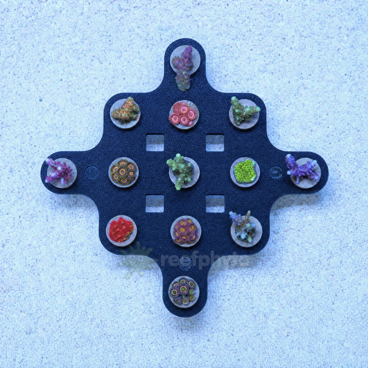 Top view of the Reefphyto hex coral frag rack holding 13 frag plugs