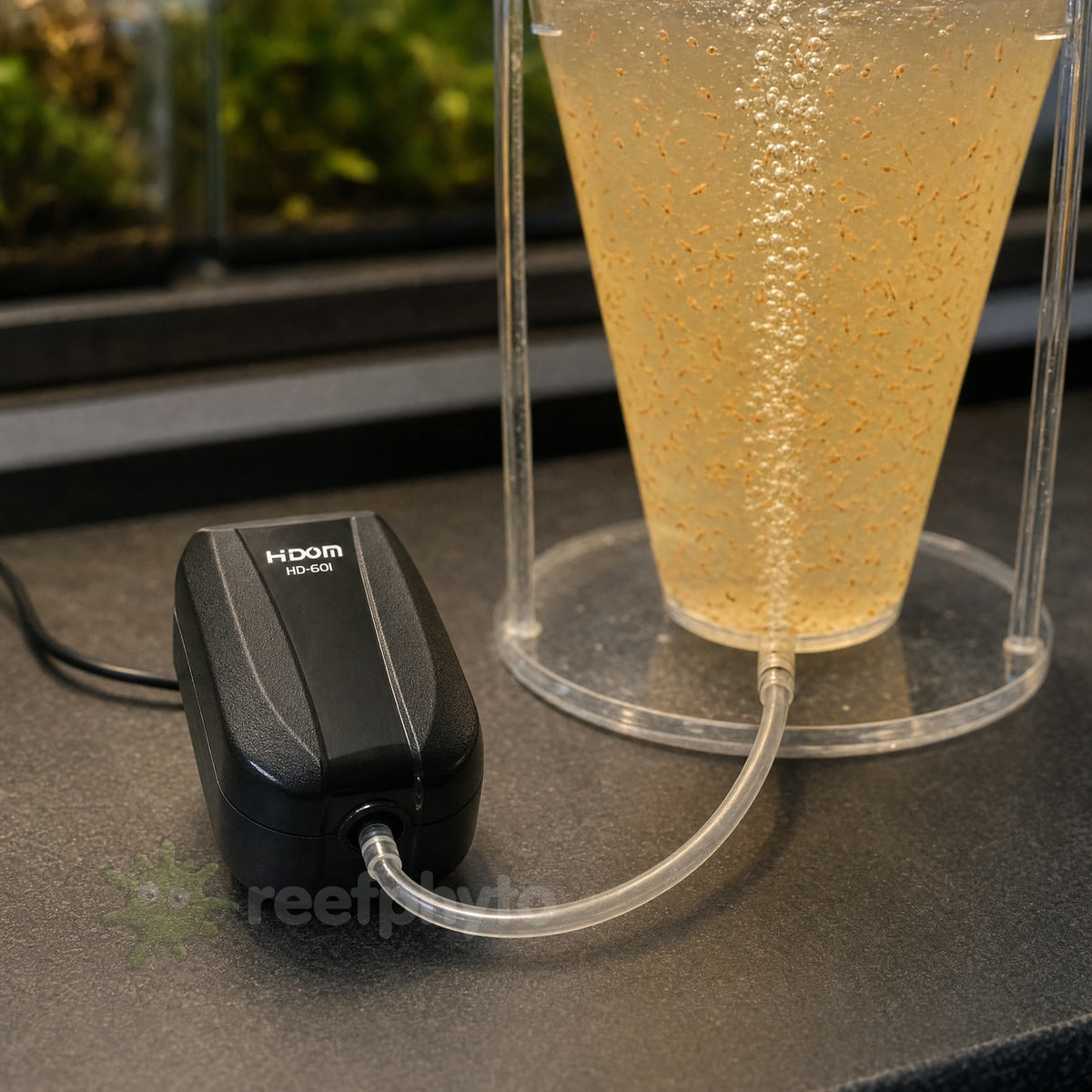 Hidom HD-601 air pump aerating a brine shrimp hatchery