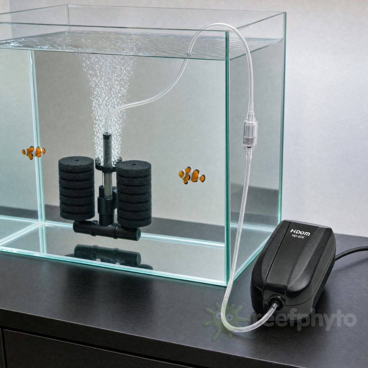 Hidom HD-601 air pump running a double sponge filter in a quarantine tank through a check valve