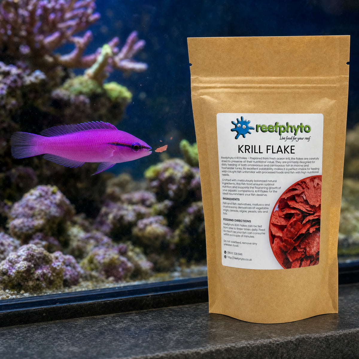 Orchid dottyback darting at a Reefphyto Krill Flake beside the pouch