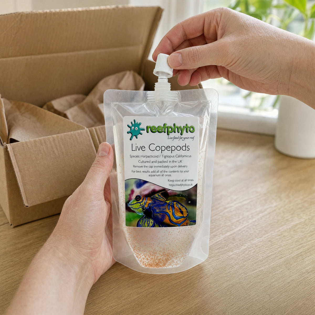 Removing the cap from a Reefphyto Live Copepods pouch on delivery day, beside the open postal box