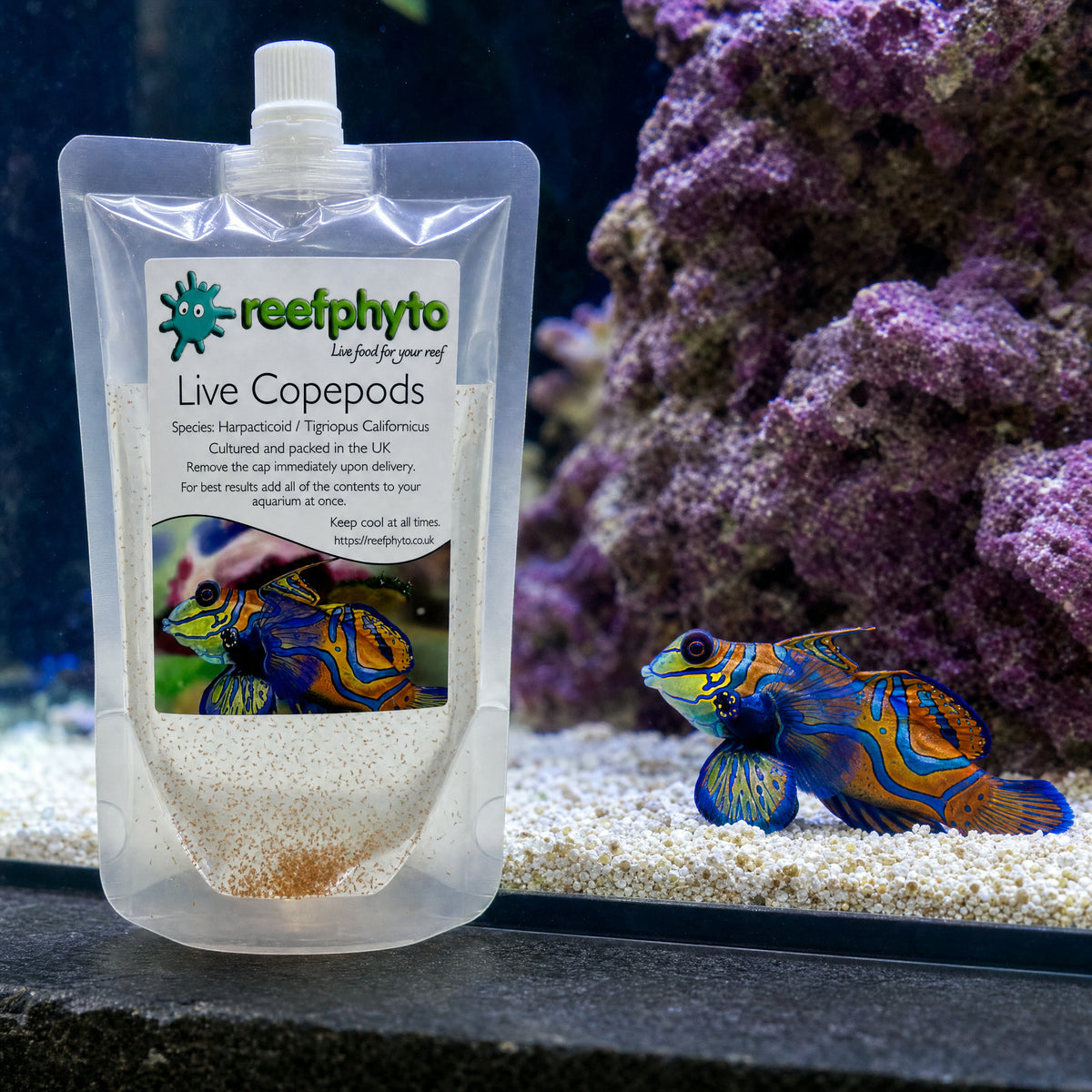 Reefphyto Live Copepods pouch beside a mandarin dragonet resting on coral sand in a reef aquarium