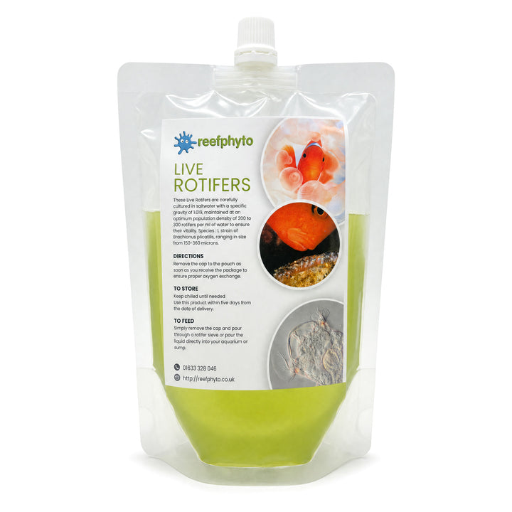 Live Rotifers