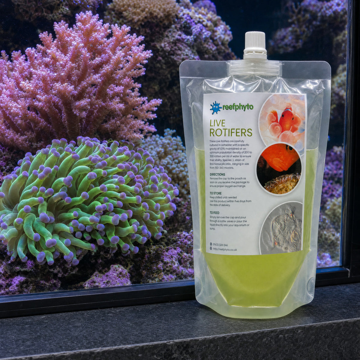 Reefphyto Live Rotifers pouch beside torch coral and Acropora with feeding polyps extended