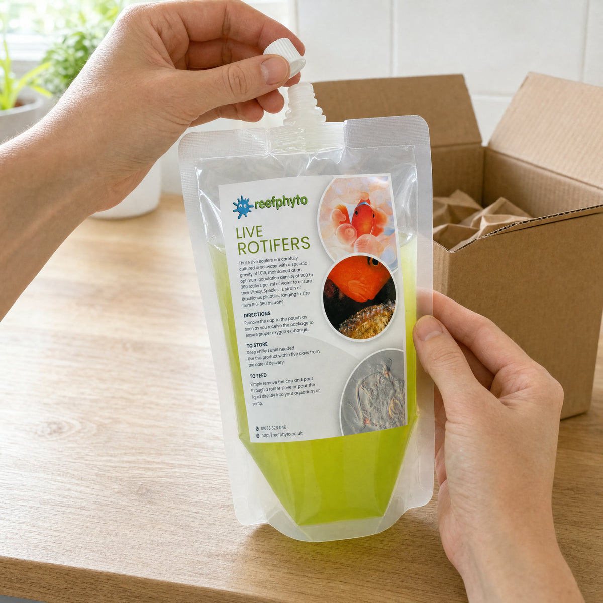 Removing the cap from a Reefphyto Live Rotifers pouch on delivery day, beside the open postal box