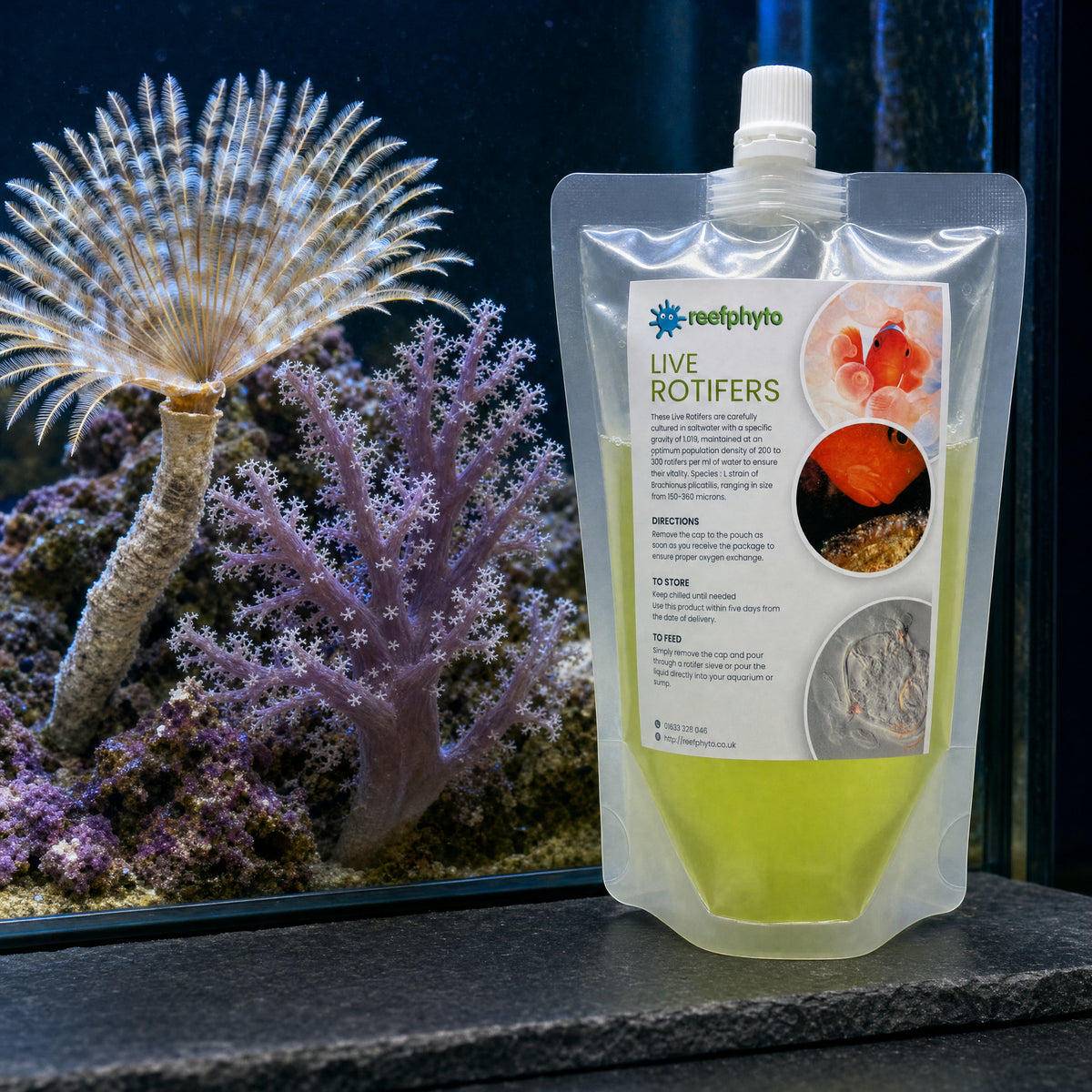 Reefphyto Live Rotifers pouch beside a feather duster worm and soft coral with feeding polyps open