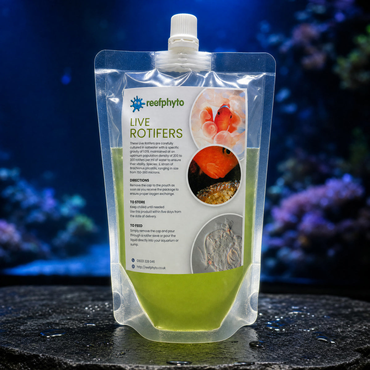 Reefphyto Live Rotifers pouch on wet slate in front of a blue-lit reef aquarium