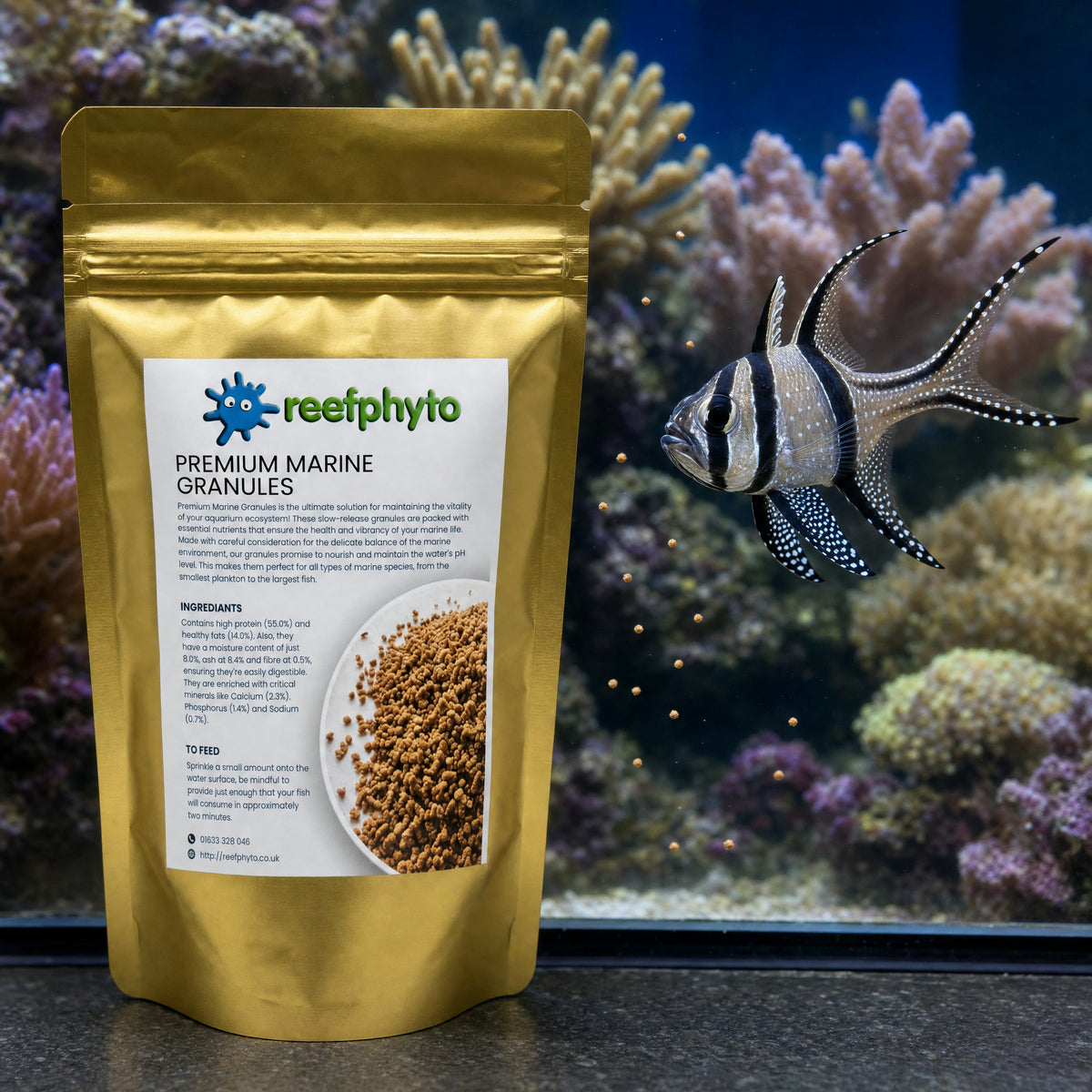 Banggai cardinalfish feeding on slow-sinking Reefphyto Premium Marine Granules beside the pouch