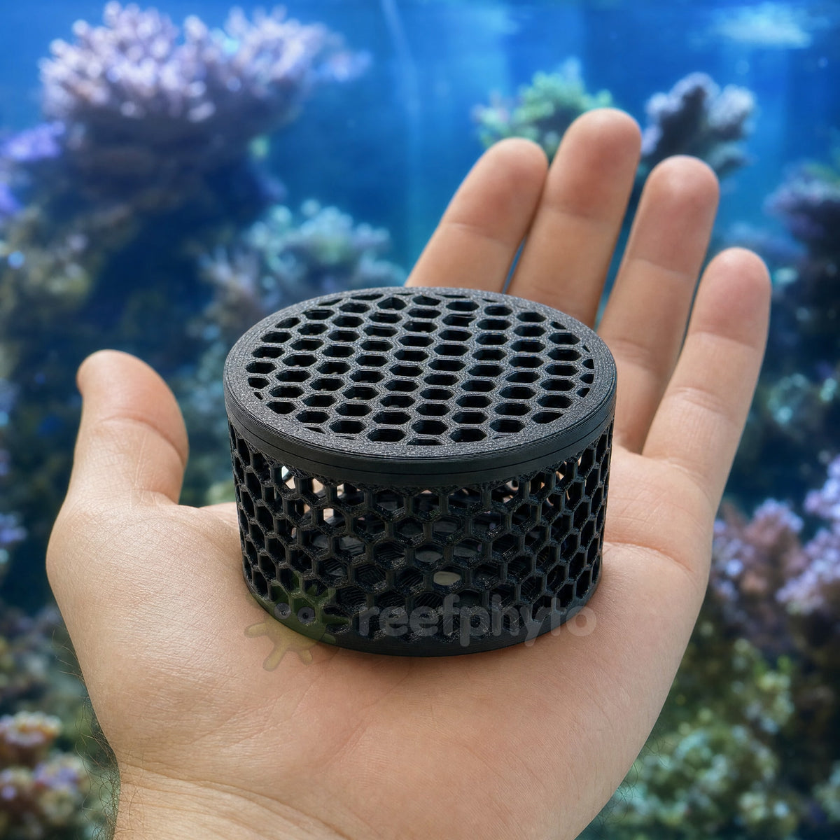 Reefphyto Mushroom Basket held in the palm of a hand to show its size