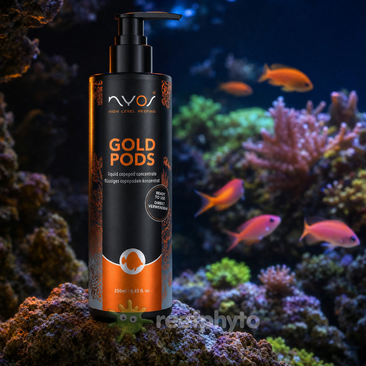 Nyos Goldpods liquid copepod food 250ml on live rock with anthias in a reef tank