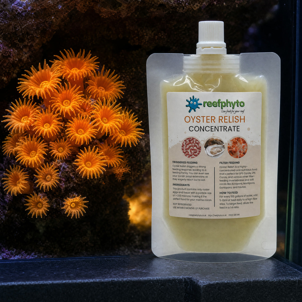 Reefphyto Oyster Relish Concentrate pouch beside an orange sun coral with every polyp open
