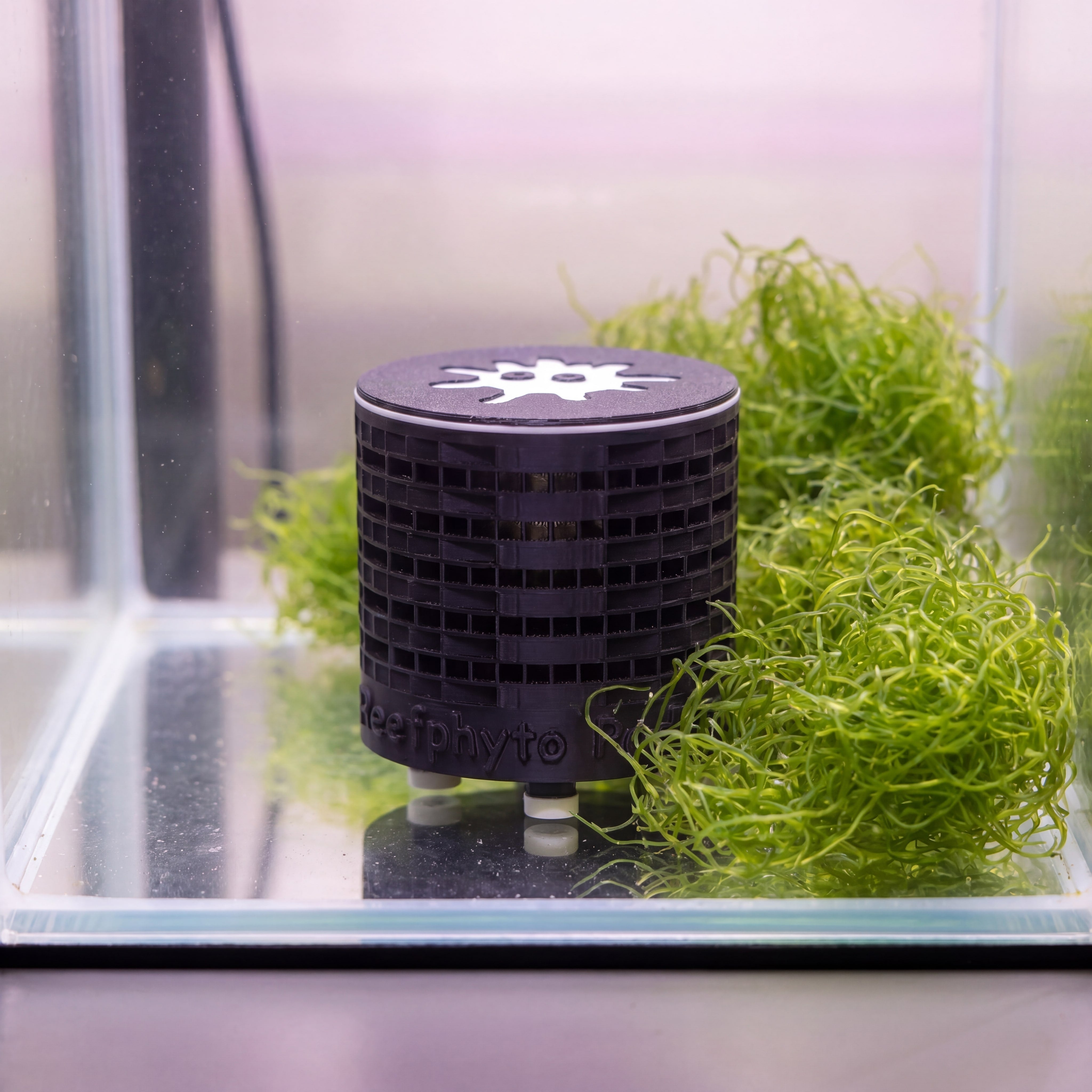 Reefphyto PodHide copepod refuge sitting in a refugium chamber surrounded by chaeto macroalgae with no sand, giving copepods a safe space to shelter and breed.