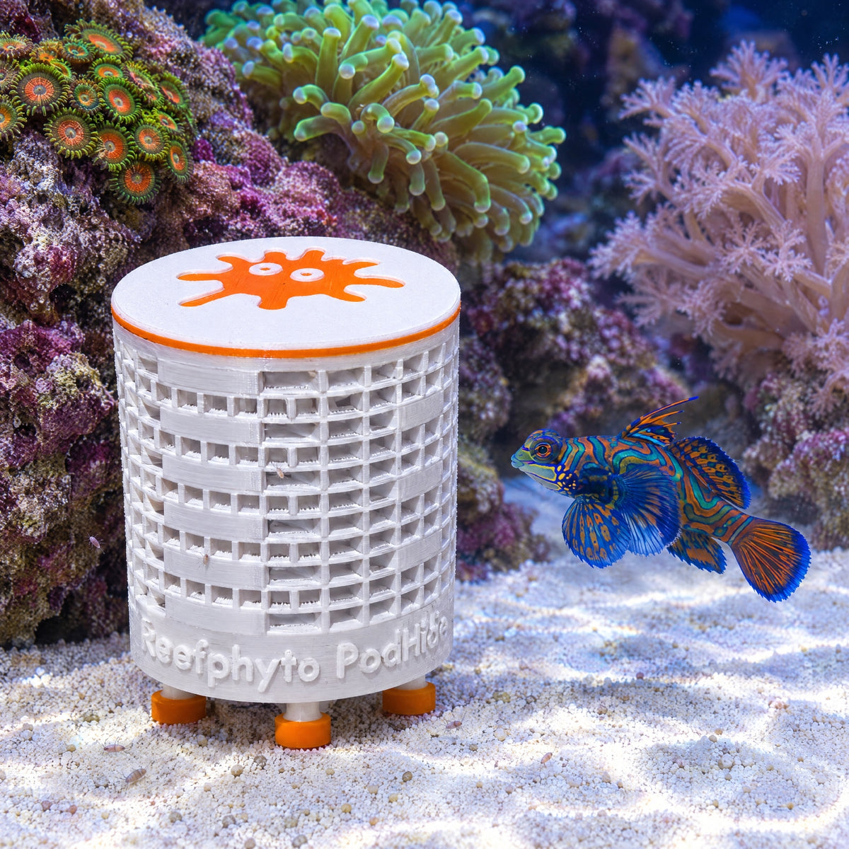 Reefphyto PodHide Nano – Copepod Shelter & Breeding Station for Smaller Tanks, Nano Systems