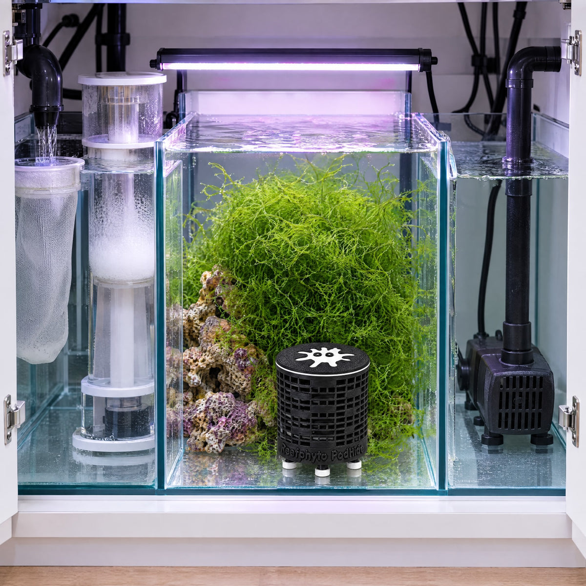Reefphyto PodHide Nano – Copepod Shelter & Breeding Station for Smaller Tanks, Nano Systems