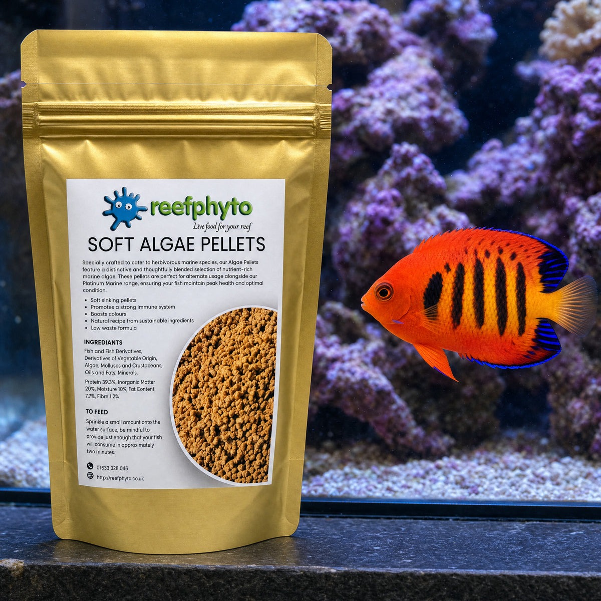 Reefphyto Soft Algae Pellets pouch beside a flame angelfish in a reef aquarium