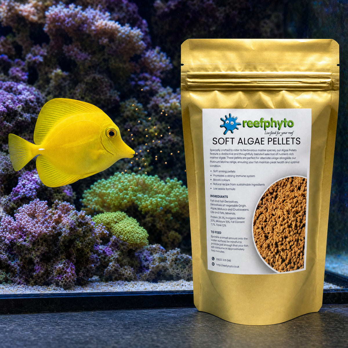 Yellow tang feeding on sinking Reefphyto Soft Algae Pellets beside the gold pouch