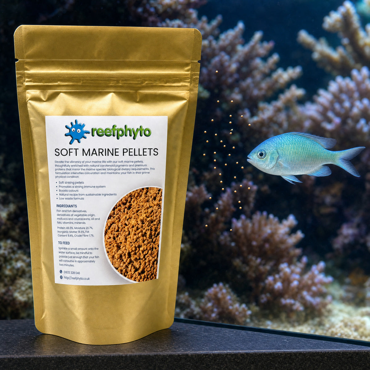 Blue-green chromis feeding on slow-sinking Reefphyto Soft Marine Pellets beside the pouch